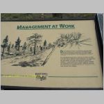 20060819_18DixieForest_003 copia.jpg